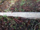 image of grave number 609490